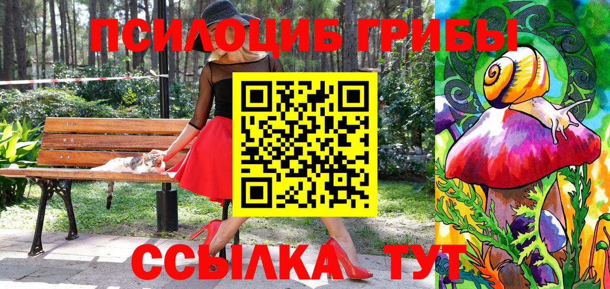 Галлюциногенные грибы ЛСД  купить  сайты  Чебоксары  Вход с VPN 
