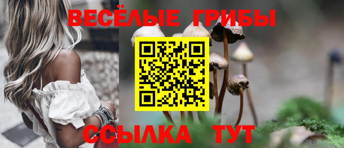 Галлюциногенные грибы мухоморы Чебоксары